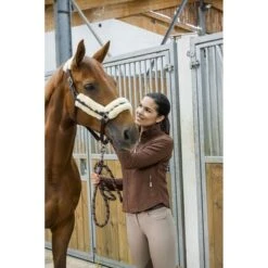 EQUITHÈME Halster Mouton Veritable Synth. Vacht Bruin Cob -Waldhausen || Kentucky Horsewear || Norton Verkoop 4468458313.a1e2ff