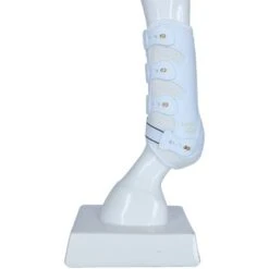 Back On Track Peesbeschermers Work Royal Wit -Waldhausen || Kentucky Horsewear || Norton Verkoop agradi 44312993 4.ef6165