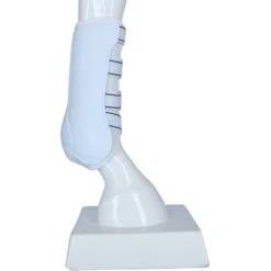 Back On Track Peesbeschermers Work Royal Wit -Waldhausen || Kentucky Horsewear || Norton Verkoop agradi 44312993 5.07e983