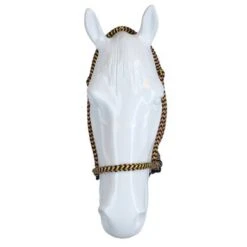 F.R.A. Bitloos Hoofdstel Igor Vaste Teugel Katoen Groen/Roze -Waldhausen || Kentucky Horsewear || Norton Verkoop agradi 44874734 3.dadeec