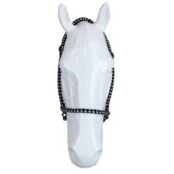 F.R.A. Bitloos Hoofdstel Igor Vaste Teugel Katoen Zwart/Wit -Waldhausen || Kentucky Horsewear || Norton Verkoop agradi 44874735 3.f12ffd