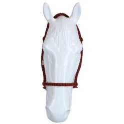 F.R.A. Bitloos Hoofdstel Igor Vaste Teugel Katoen Groen/Rood Cob/Full -Waldhausen || Kentucky Horsewear || Norton Verkoop agradi 44874736 3.5af9fd