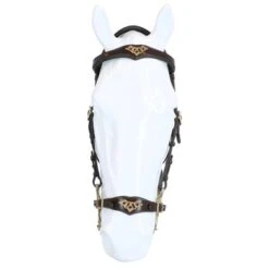 F.R.A. Hackamore Hoofdstel Imperial Softleder Teugels Havana -Waldhausen || Kentucky Horsewear || Norton Verkoop agradi 44874742 3.b3e9b9