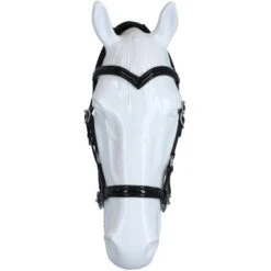 F.R.A. Bitloos Hoofdstel Isabel Side Pull Softleder Teugels Zwart -Waldhausen || Kentucky Horsewear || Norton Verkoop agradi 44874756 3.f4a383