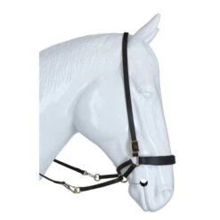 F.R.A. Bitloos Hoofdstel Janosch Bruin/Brass Metal -Waldhausen || Kentucky Horsewear || Norton Verkoop agradi 44874768 4.66df35