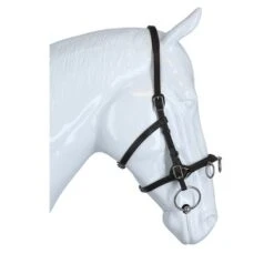 F.R.A. Kaptoom Keto Leer Bruin -Waldhausen || Kentucky Horsewear || Norton Verkoop agradi 44874831 4.0a14c5