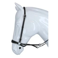 F.R.A. Bitloos Hoofdstel Mewi Nikkel Fitting Bruin Full