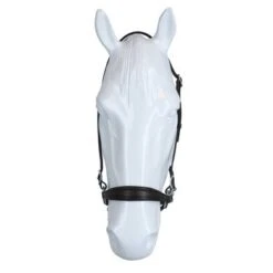 F.R.A. Bitloos Hoofdstel Mewi Nikkel Fitting Bruin Full -Waldhausen || Kentucky Horsewear || Norton Verkoop agradi 44874924 3.454ac5