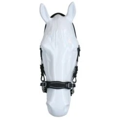 F.R.A. Hackamore Hoofdstel Miranti Leder Met Scharen Zwart One Size -Waldhausen || Kentucky Horsewear || Norton Verkoop agradi 44874928 3.84e2cf