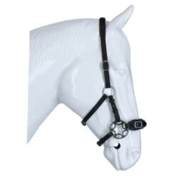 F.R.A. Hackamore Hoofdstel Miranti Leder Met Scharen Zwart One Size -Waldhausen || Kentucky Horsewear || Norton Verkoop agradi 44874928 4.e6e548