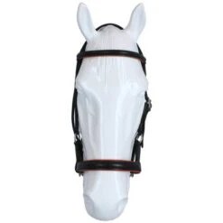 F.R.A. Bitloos Hoofdstel Pardoes Deluxe Side Pull Lederen Teugels Zwart/Oranje Cob -Waldhausen || Kentucky Horsewear || Norton Verkoop agradi 44874984 3.981015