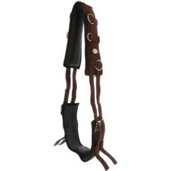 F.R.A. Longeersingel Bruin