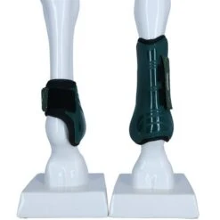 Lami-Cell Peesbeschermerset Venus Donkergroen Full -Waldhausen || Kentucky Horsewear || Norton Verkoop agradi 44959186 3.6e022b