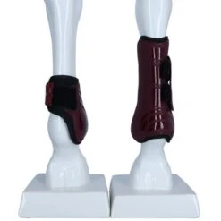 Lami-Cell Peesbeschermerset Venus Bordeaux Full -Waldhausen || Kentucky Horsewear || Norton Verkoop agradi 44959187 3.3d71db