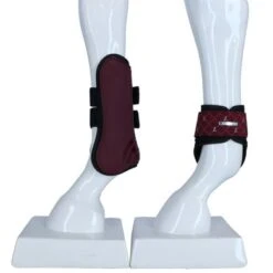 Lami-Cell Peesbeschermerset Venus Bordeaux Full -Waldhausen || Kentucky Horsewear || Norton Verkoop agradi 44959187 5.6d6d09