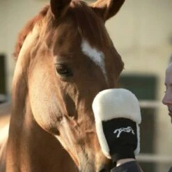 PÉNÉLOPE Pénélope Poetshandschoen Zwart -Waldhausen || Kentucky Horsewear || Norton Verkoop agradi 44990821 3.7f9e7c