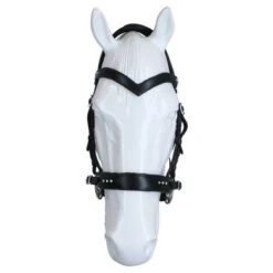 F.R.A Hoofdstel Glory Hackamore Leder Met Kralen Zwart -Waldhausen || Kentucky Horsewear || Norton Verkoop agradi 45048627 3.67feb8