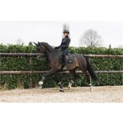 ANKY Strijklappen Dark Olive -Waldhausen || Kentucky Horsewear || Norton Verkoop anky a29425 g071 44.689b4b
