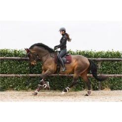 ANKY Springschoenen Active Port Royale -Waldhausen || Kentucky Horsewear || Norton Verkoop anky a31229 r121 44.26021a