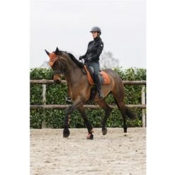 ANKY Oornetje Stones Rust -Waldhausen || Kentucky Horsewear || Norton Verkoop anky a37424 n119 43.f6f2b7