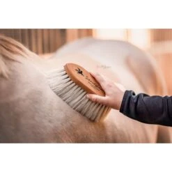 Bense & Eicke Harde Borstel PoetsLiese -Waldhausen || Kentucky Horsewear || Norton Verkoop be 1625 benseundeicke wurzelburste schmutzliese 1.961da6