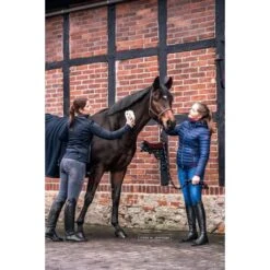 Bense & Eicke Harde Borstel PoetsLiese -Waldhausen || Kentucky Horsewear || Norton Verkoop be 1625 benseundeicke wurzelburste schmutzliese 2.9387d6