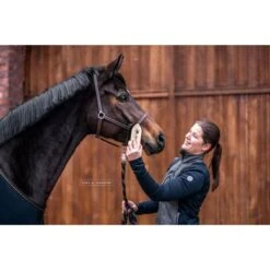 Bense & Eicke Glansborstel GlansElse -Waldhausen || Kentucky Horsewear || Norton Verkoop be 1630 benseundeicke staub und fellglanzburste glanzelse 2.d14dff