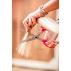 Bense & Eicke Schaar KnipBerta -Waldhausen || Kentucky Horsewear || Norton Verkoop be 1655 benseundeicke schweifschere schnittberta 2.b96af4