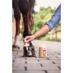 Bense & Eicke Natural Hoefolie Met Borstel 450ml -Waldhausen || Kentucky Horsewear || Norton Verkoop ben 821 3 1920x1920.fdeabb