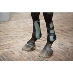 BR Peesbeschermers Dali 3D Mesh Agave Groen -Waldhausen || Kentucky Horsewear || Norton Verkoop bieman292205 g074 41.22f3aa