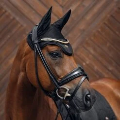 Back On Track Oornetje Deep Nights Zwart Full -Waldhausen || Kentucky Horsewear || Norton Verkoop bot 2372 deep nights saddle pad jump 05 web dd431b61 2d74 43ad bee2 9a1bce66ec74 1000x.fae428