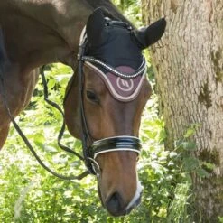 Back On Track Oornetje Night Collection Coffee -Waldhausen || Kentucky Horsewear || Norton Verkoop bot 2404 nc bonnet coffee 06.7c8654