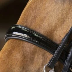 Norton Stang- En Trenshoofdstel Pro Rond Genaaid Zwart -Waldhausen || Kentucky Horsewear || Norton Verkoop ekkia 303 031 302 det2.d1ff81