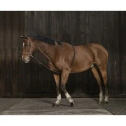 Norton Longeerhulp Rekbaar Bruin