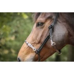 PÉNÉLOPE Pénélope Touwhalster Havana/Zwart Full -Waldhausen || Kentucky Horsewear || Norton Verkoop ekkia 510315302 1.d33f68