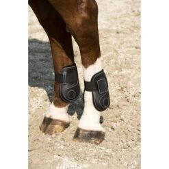 Norton Kogelbeschermers Synthetisch Zwart -Waldhausen || Kentucky Horsewear || Norton Verkoop ekkia 530 601 203 ambi.9241a1