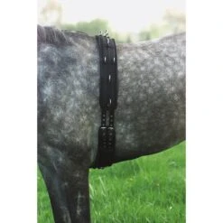 Norton Longeersingel Synthetisch Zwart -Waldhausen || Kentucky Horsewear || Norton Verkoop ekkia d0089 401 070 002.f29137