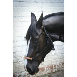 PÉNÉLOPE Pénélope Touwhalster Western -Waldhausen || Kentucky Horsewear || Norton Verkoop ekkia penelope american touwhalster 2.b6741d