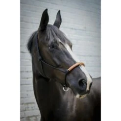 PÉNÉLOPE Pénélope Touwhalster Western -Waldhausen || Kentucky Horsewear || Norton Verkoop ekkia penelope american touwhalster 3.2e2516