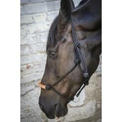 PÉNÉLOPE Pénélope Touwhalster Western -Waldhausen || Kentucky Horsewear || Norton Verkoop ekkia penelope american touwhalster 4.3f863b