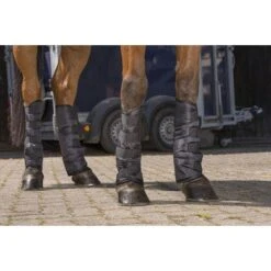 Riding World Transportbeschermers Laag Zwart Full