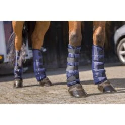 Riding World Transportbeschermers Laag Zwart Full -Waldhausen || Kentucky Horsewear || Norton Verkoop ekkia z05649 402 004 007 ambi1.53af3f