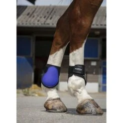 Norton Strijklappen Paars