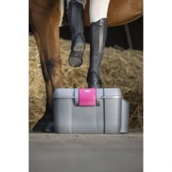 Hippotonic Poetskist Koala Fuchsia/Zilver 52,5x34x30cm -Waldhausen || Kentucky Horsewear || Norton Verkoop ekkia z06460 700 000 213 ambi1.8423a1