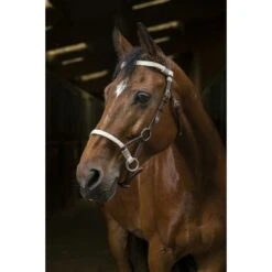 Norton Side-Pull Pro Tresse Havana