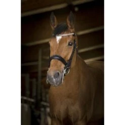 Norton Stang En Trenshoofdstel Princess Zwart