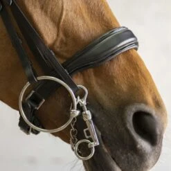 Norton Stang En Trenshoofdstel Diadème Zwart -Waldhausen || Kentucky Horsewear || Norton Verkoop ekkia z07819 303 035 302 det2.e01028