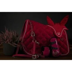 Lami-Cell Peesbeschermerset Rasberry -Waldhausen || Kentucky Horsewear || Norton Verkoop ekkia22 550 109 335 ambi2.96c7fd