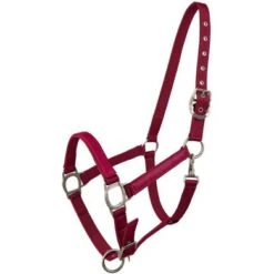 Lami-Cell Halster Rasberry