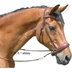 F.R.A. Bitloos Hoofdstel Abbey Bruin/Brons